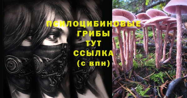MESCALINE Абинск
