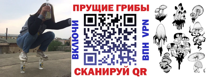 Псилоцибиновые грибы Psilocybine cubensis  Курлово 